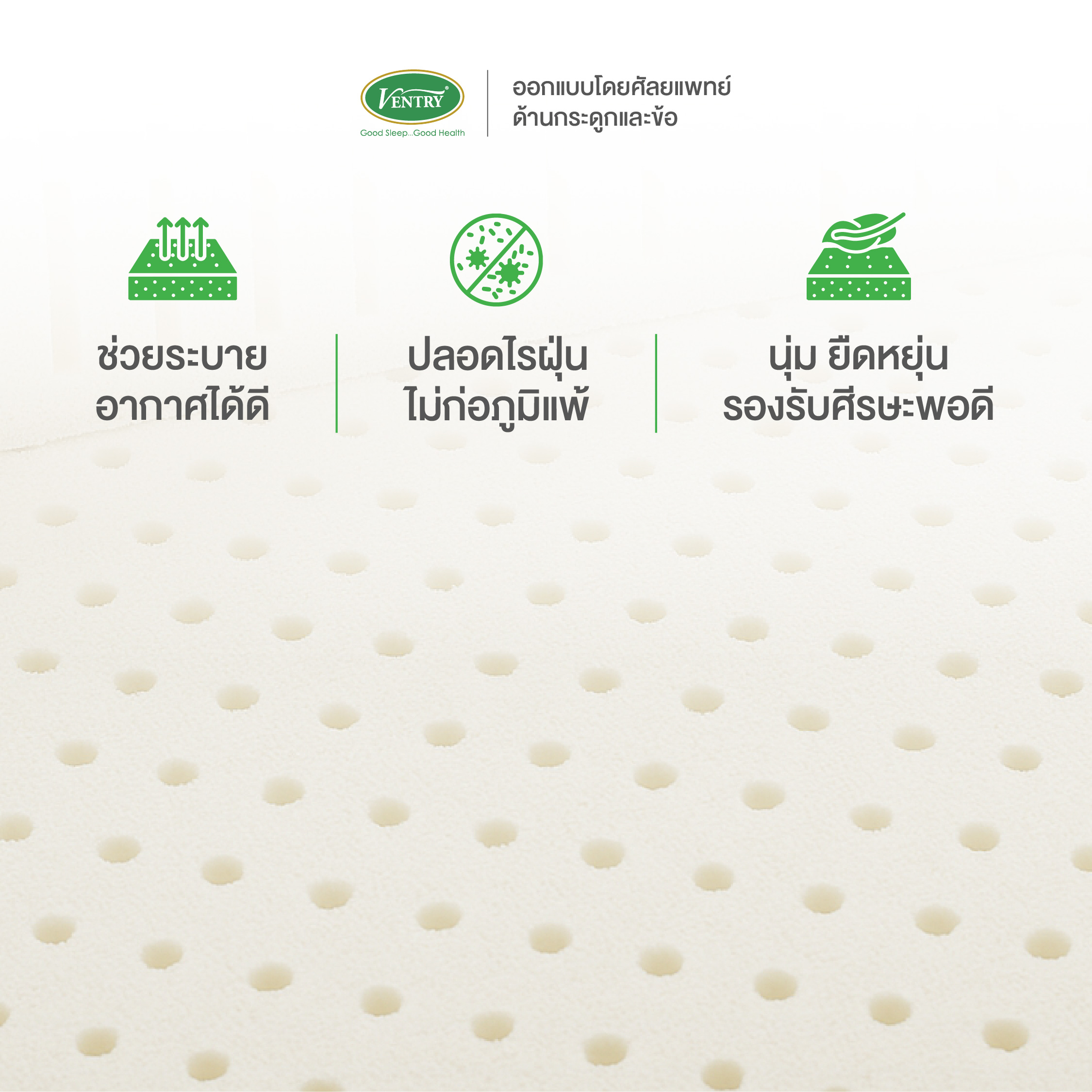 Ventry Coccy Cushion เบาะรองก้นกบ - Image 7